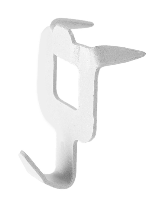 p02004b