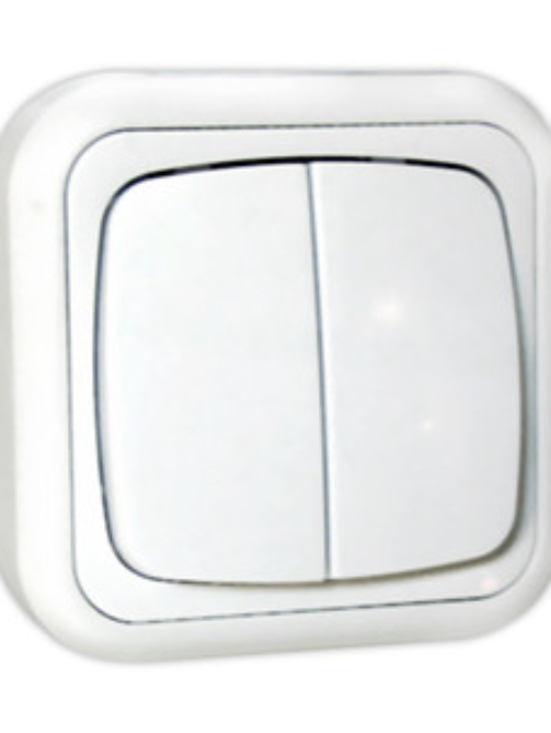 Doble conmutador de superficie 10A/250V