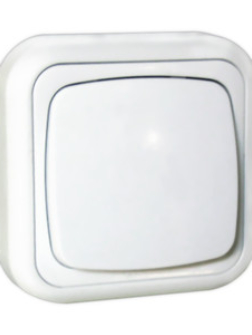 Interruptor de superficie 10A/250V
