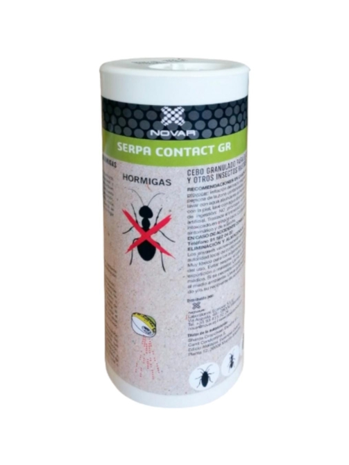 hormigas